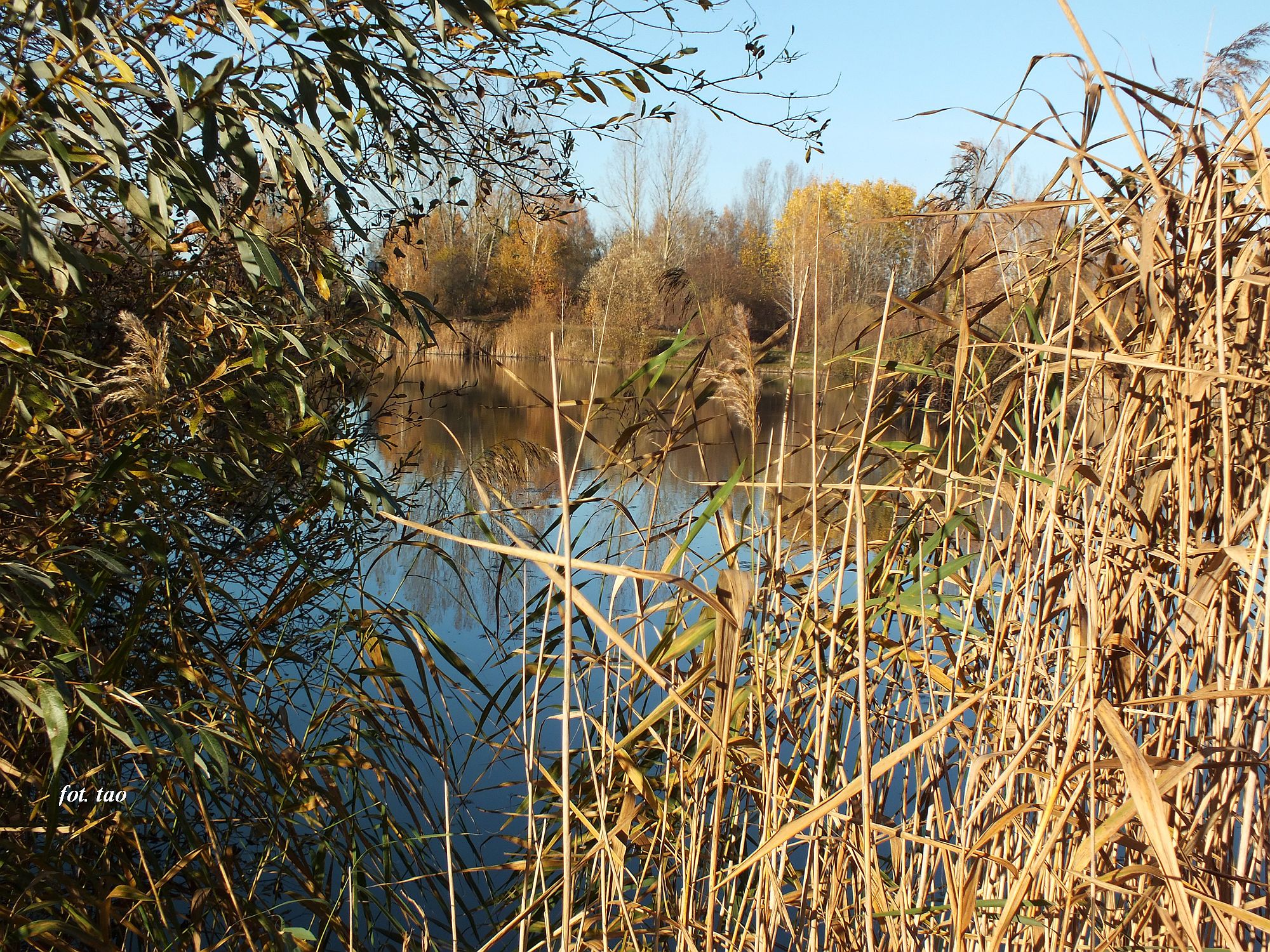 Sierpeckie Glinki. Tu rzdzi natura, 2024 r.